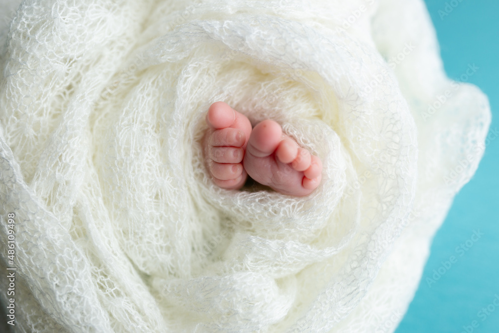 legs of a newborn baby in a white blanket. newborn legs of a newborn baby in a white blanket. newborn