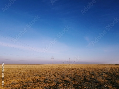 wind farm field