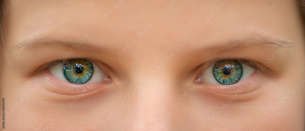 Naklejka premium Green eyes of a young girl close-up.