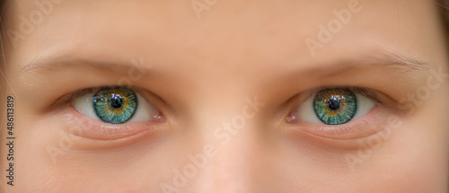 Green eyes of a young girl close-up. photo