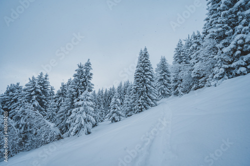 Alpine mountains landscape with white snow and blue sky. Sunset winter in nature. Frosty trees under warm sunlight. Wonderful wintry landscape © alexanderuhrin