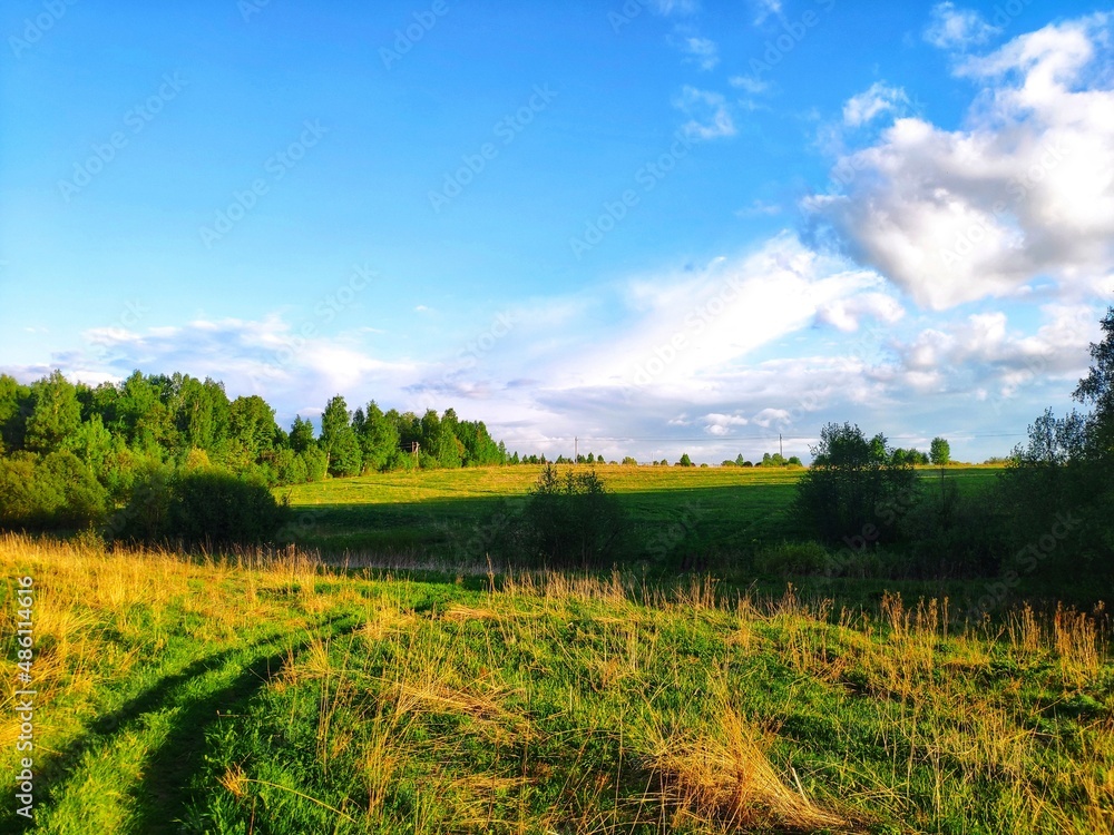 Naklejka premium field and sky