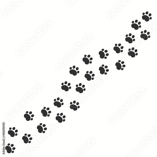 Paw vector foot trail print of cat. Vector