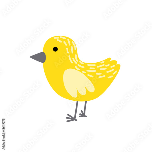 Chick. Yellow chick. Spring, easter. Little chicken. Nestling. Flat, cartoon, isolated