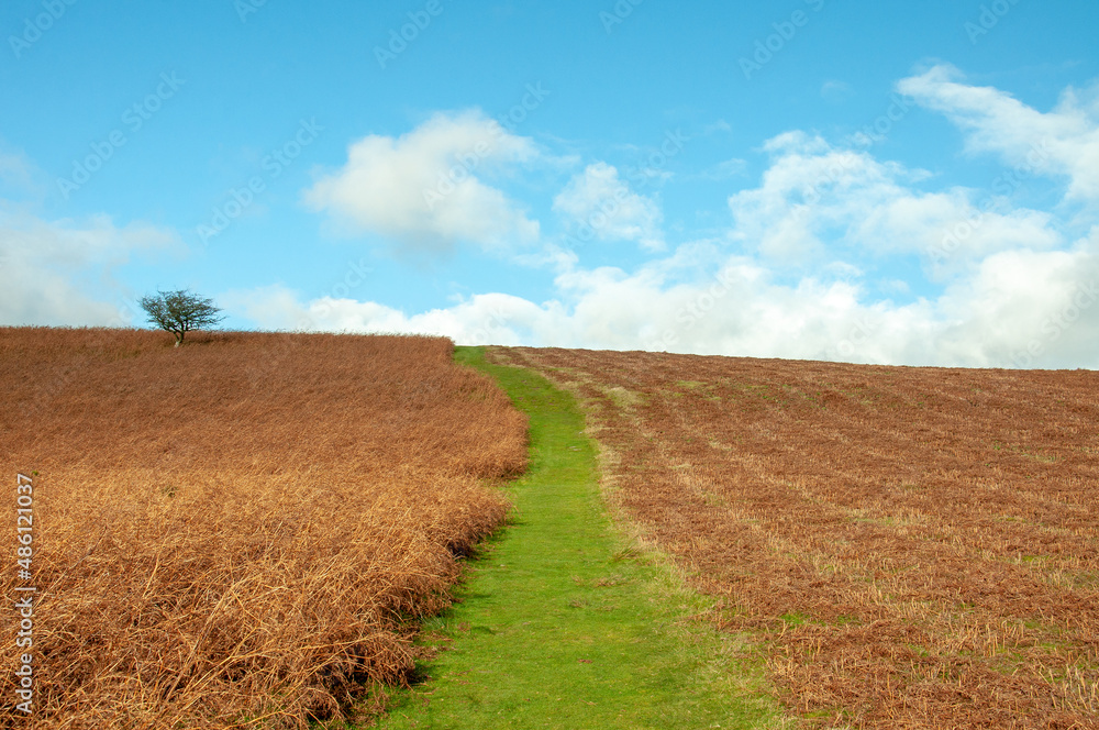 Hergest ridge of England and Wales in the summertime. Hergest ridge of England and Wales in the summertime.