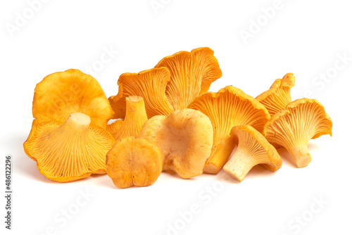 Chanterelles mushrooms, isolated on white background.