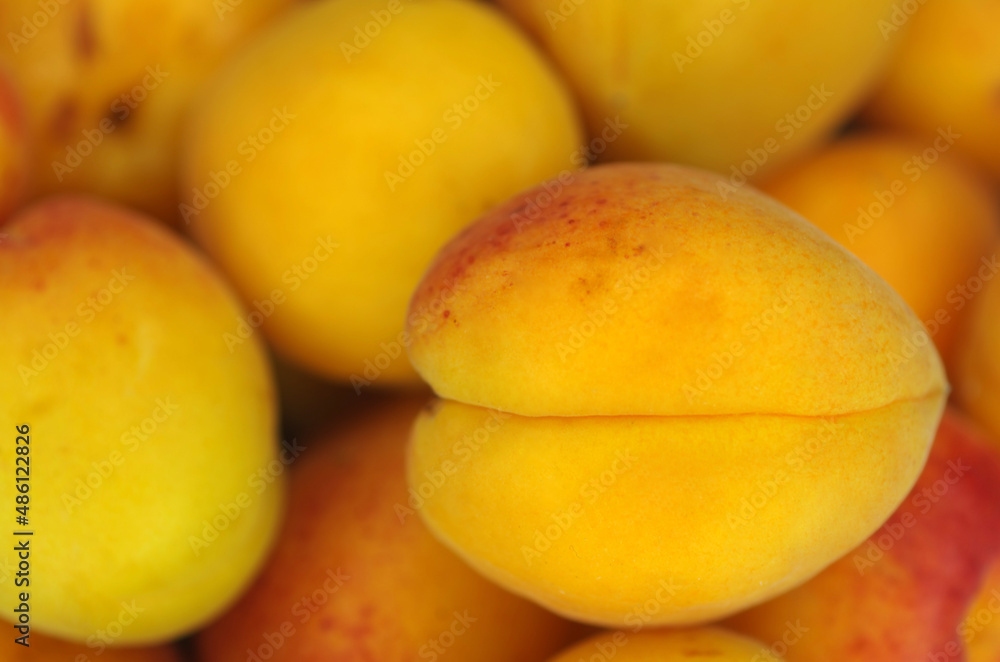 Lots of apricots close up. Fruit