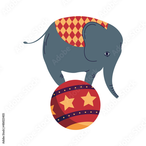 circus elephant in ball