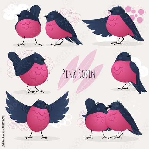 A set of cute pink robin birds on light background in flat style. Cartoon hand drawn vector illustrations