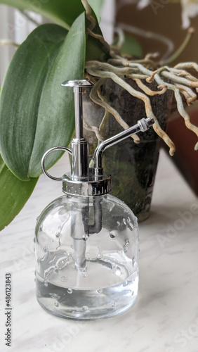 How to care for orchids?