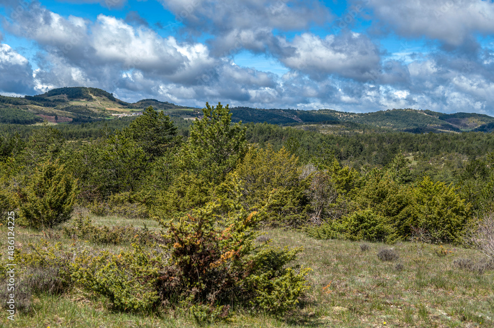 Le causse de Sauveterre à Champerboux, Lozère, France