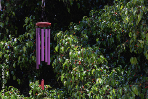 Fotografi Purple wind chimes in a tree with red berries, calm peaceful, evokes meditation