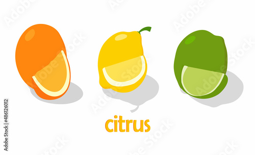 Food, vegetables and fruits. Vector illustration.drawings for a poster, postcard or background.