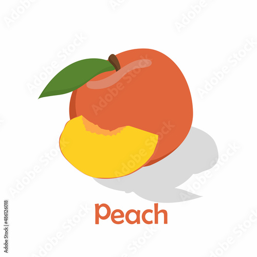 Food, vegetables and fruits. Vector illustration.drawings for a poster, postcard or background.