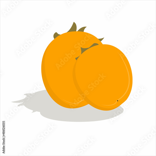 Food, vegetables and fruits. Vector illustration.drawings for a poster, postcard or background.