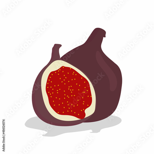 Food, vegetables and fruits. Vector illustration.drawings for a poster, postcard or background.