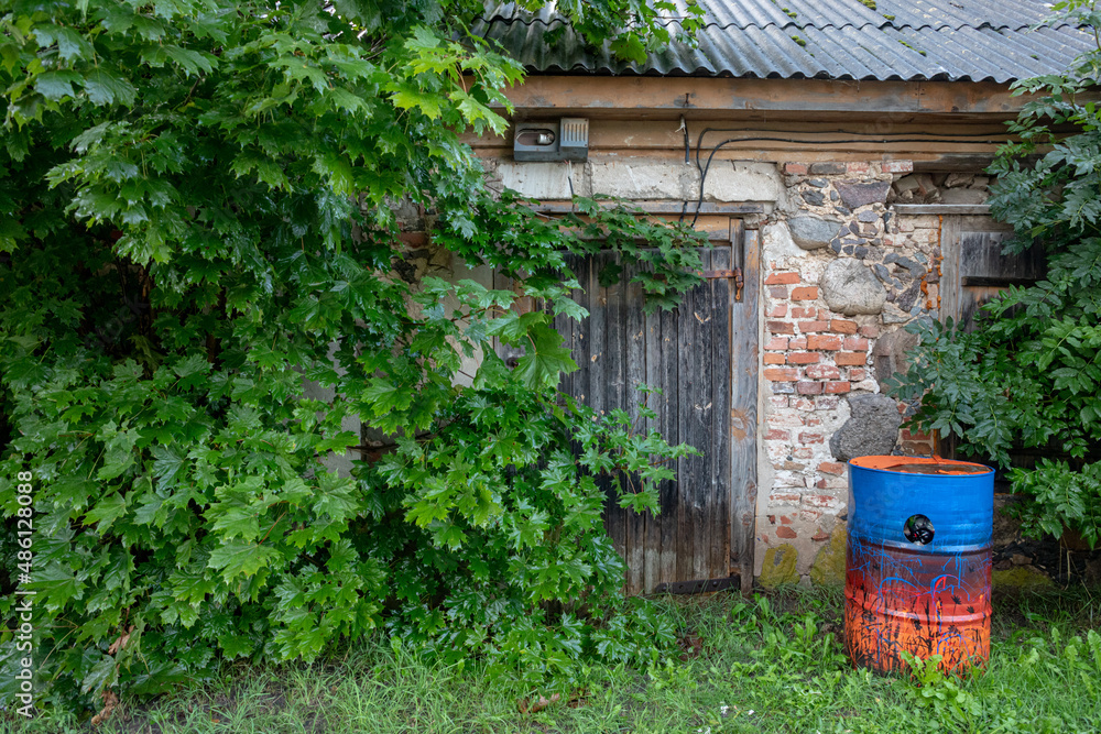 Obraz premium green foliage of tree near abandoned house, painted colorful metal barrel