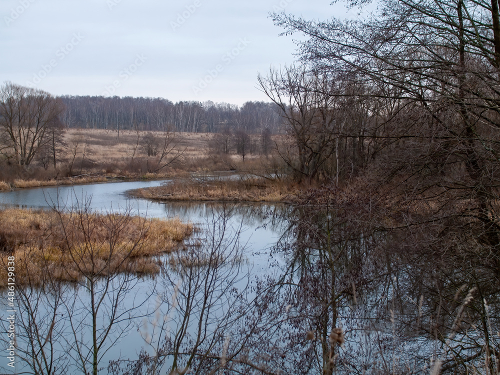 Obraz premium the bank of a small forest river on a cloudy day