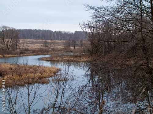 the bank of a small forest river on a cloudy day