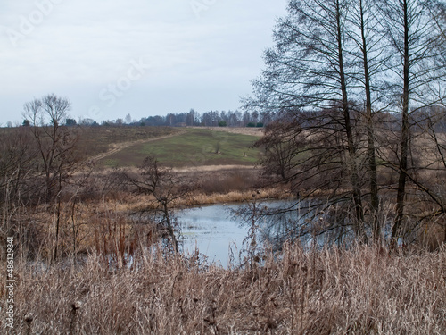 the bank of a small forest river on a cloudy day