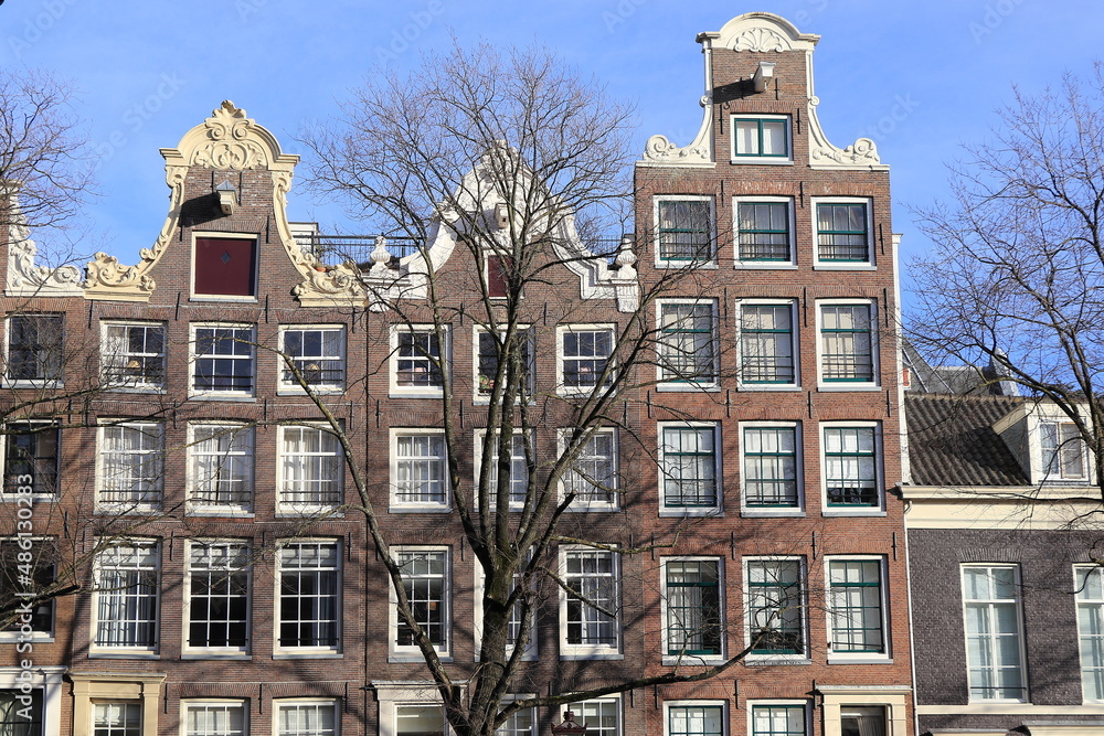 Fototapeta premium Amsterdam Prinsengracht Canal House Facades with Winter Tree and Blue Sky, Netherlands