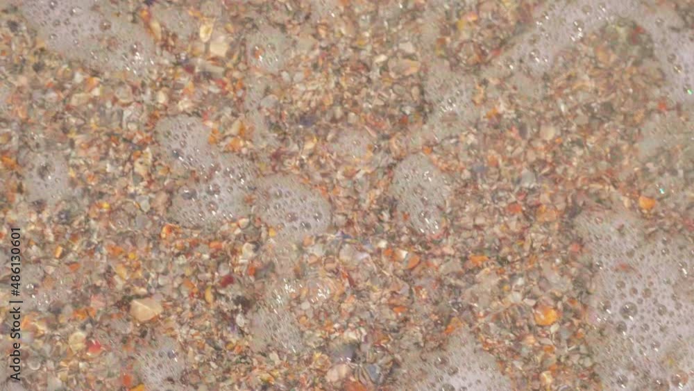 Shells crushed by the waves of the sea Shells crushed by the waves of the sea
