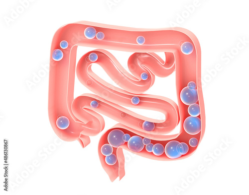 Anatomical 3d illustration of the large and small intestine with gas. Showing the open interior and the evolution of flatulence formation. Aerophagia.