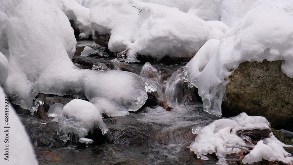 Stream in the forest in winter. Stream in the forest in winter.