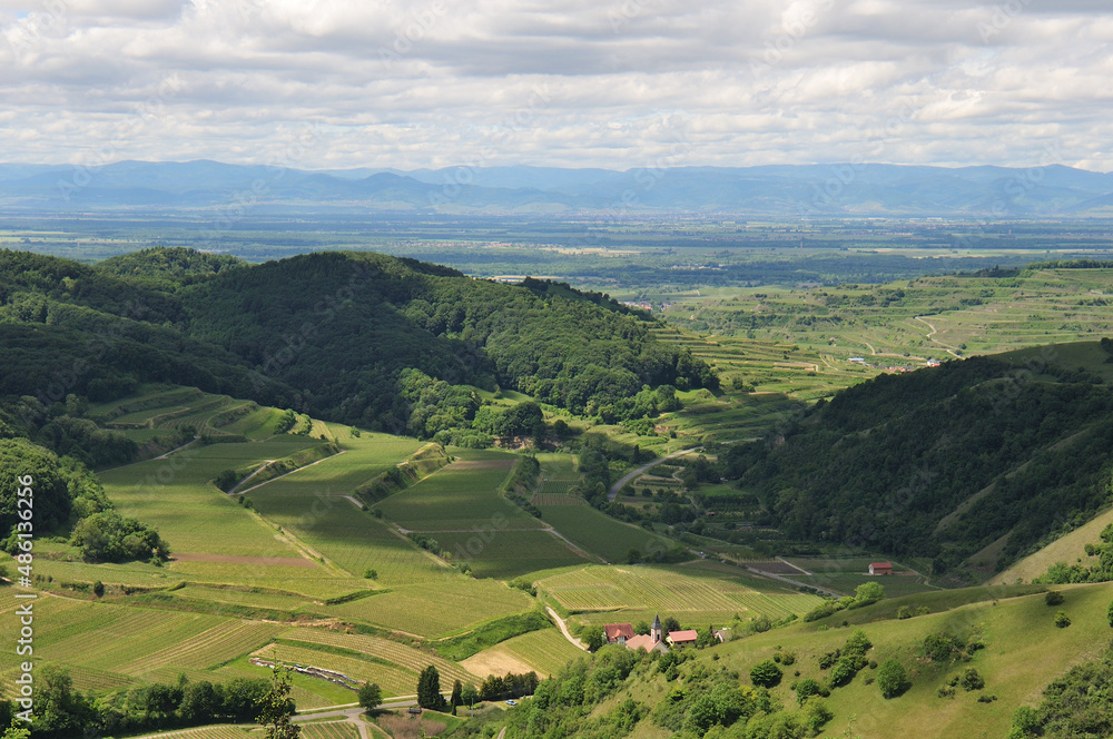 View from the Kaiserstuhl over Schelingen and the Rhine plain to the Vosges