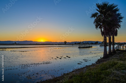 Sol poni  ndose en un precioso atardecer en el delta del ebro