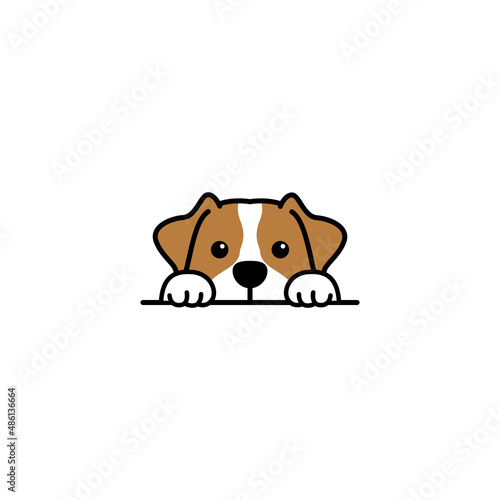 Cute jack russell terrier puppy peeking cartoon, vector illustration