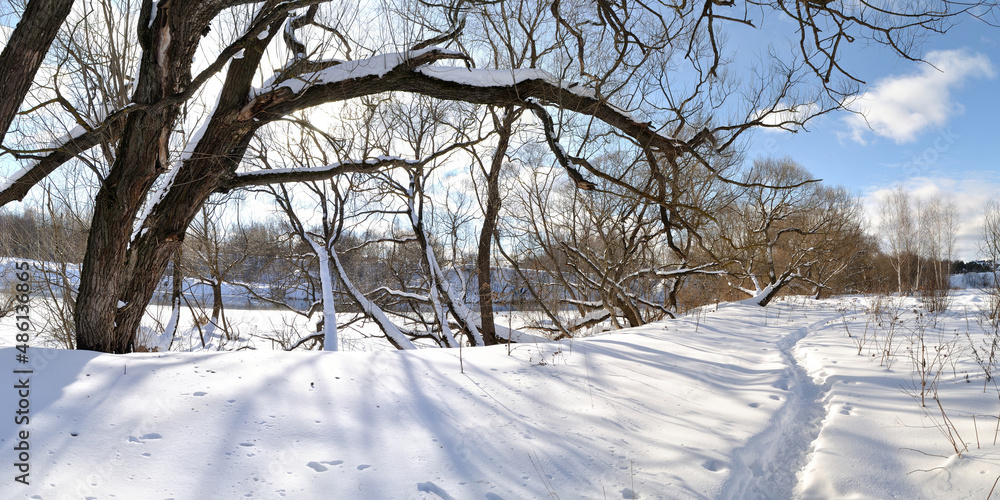 Spring walk through the forest, beautiful panorama. Spring walk through the forest, beautiful panorama.