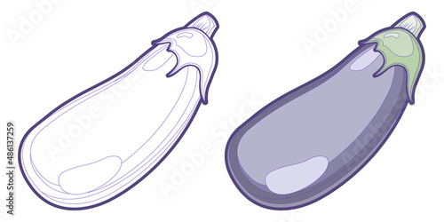 Eggplant. Line art and color illustration. Vector icon. Ripe vegetable. 