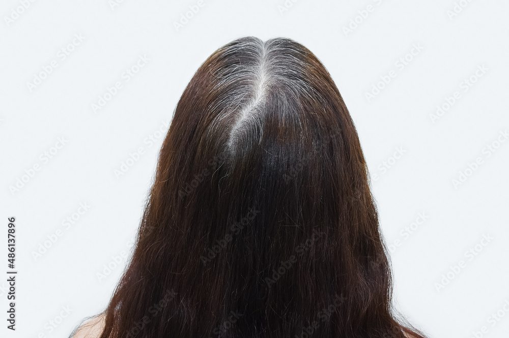 Gray hair on crown of a woman head. View from the back. Gray hair on crown of a woman head. View from the back.
