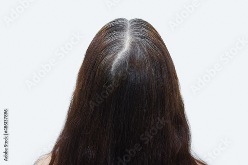 Gray hair on crown of a woman head. View from the back.