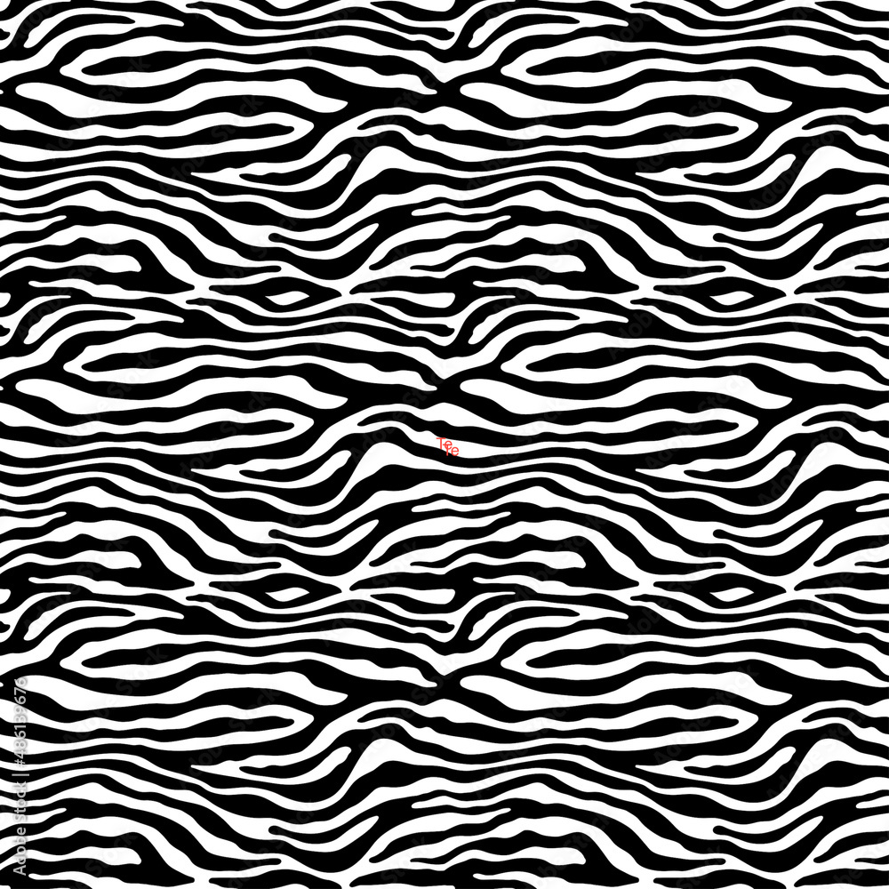 Zebra Skin Pattern Zebra Skin Pattern