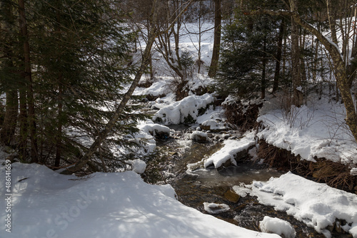 scenic winter forest and a mountain river in snow