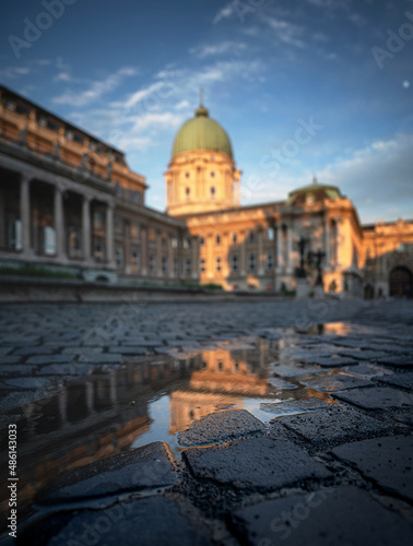 Royal Palace of Buda in Bud...