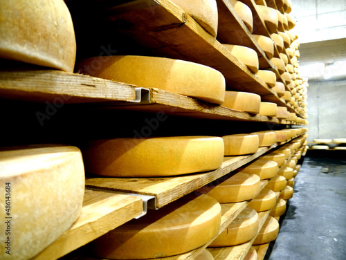 Käse