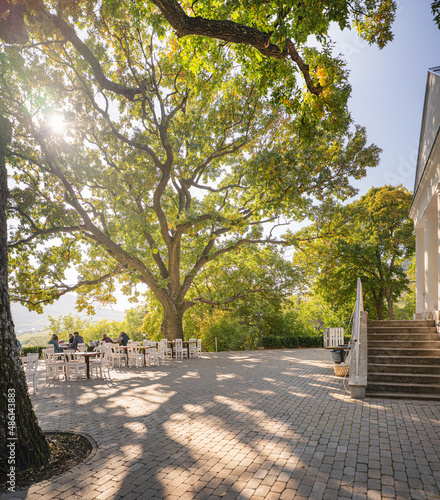 Nice restaurant with giant oak trees in Hungary