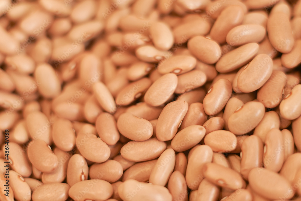 The background of white raw beans. Natural legume protein The background of white raw beans. Natural legume protein