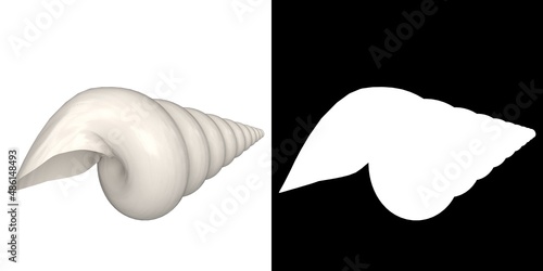 Obraz na płótnie 3D rendering illustration of a stylized triton seashell