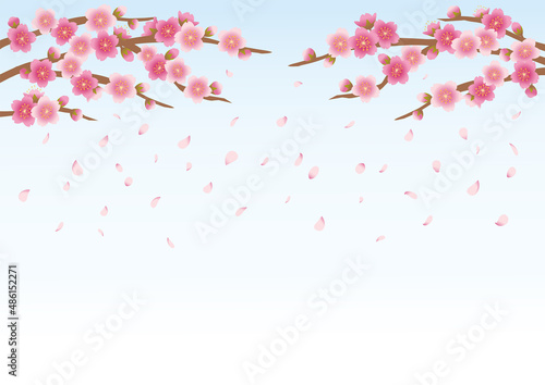 桜_花吹雪_2_背景有り