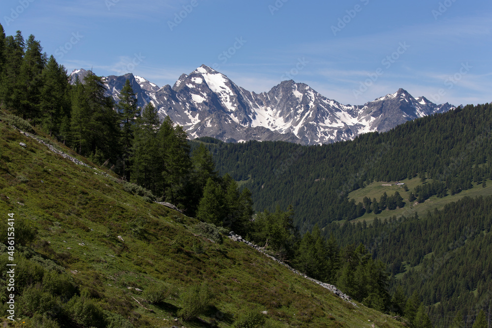 Mountain landscape in valle d'Aosta during summer