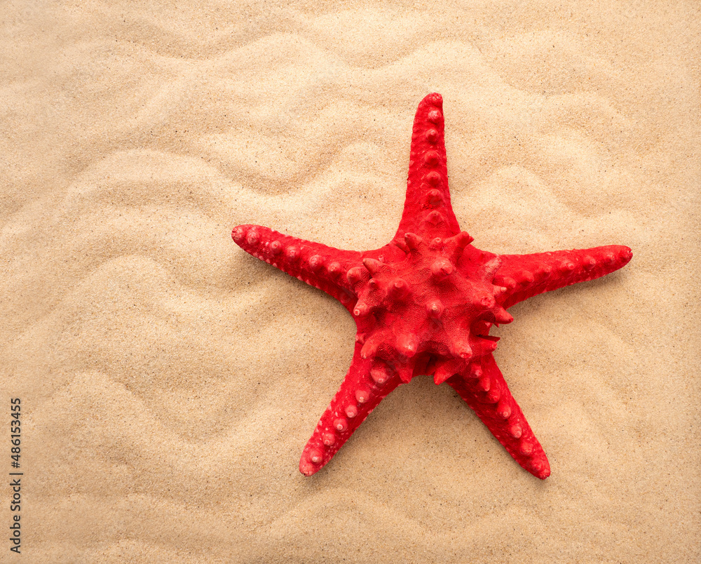 The concept of summer, rest, sea, travel. Starfish and seashells on the sand. top view of sandy background with dunes The concept of summer, rest, sea, travel. Starfish and seashells on the sand. top view of sandy background with dunes