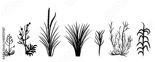 grass and reeds silhouettes vecor svg illustration