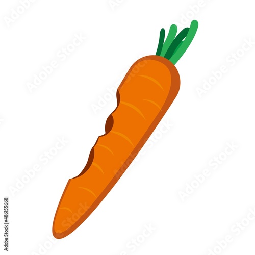 bitten carrot vegetables illustration vector design