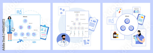 Mitosis process concept