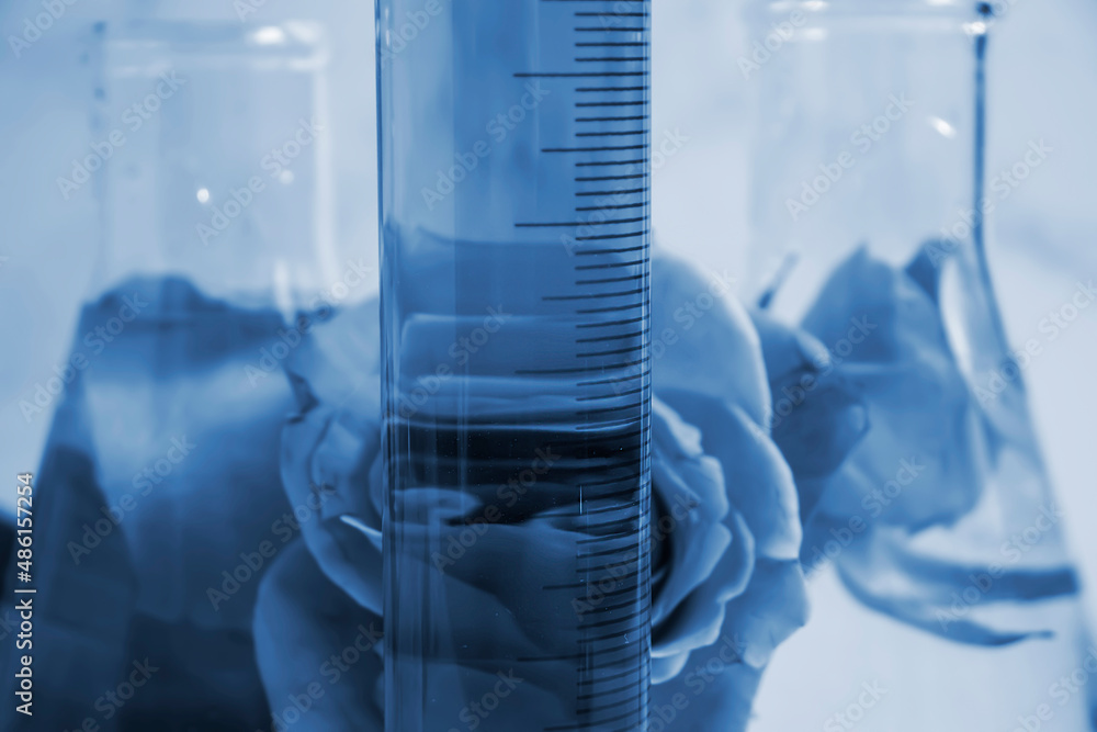 laboratory flask flower rose on a light background laboratory flask flower rose on a light background