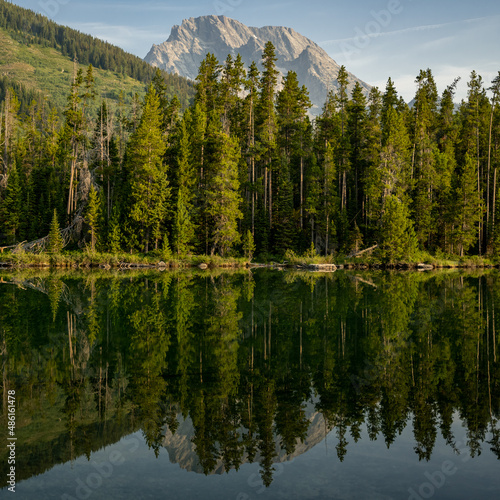 Fototapeta Naklejka Na Ścianę i Meble -  Pine Trees Reflect In Leigh Lake With Mount Moran Peeking Above